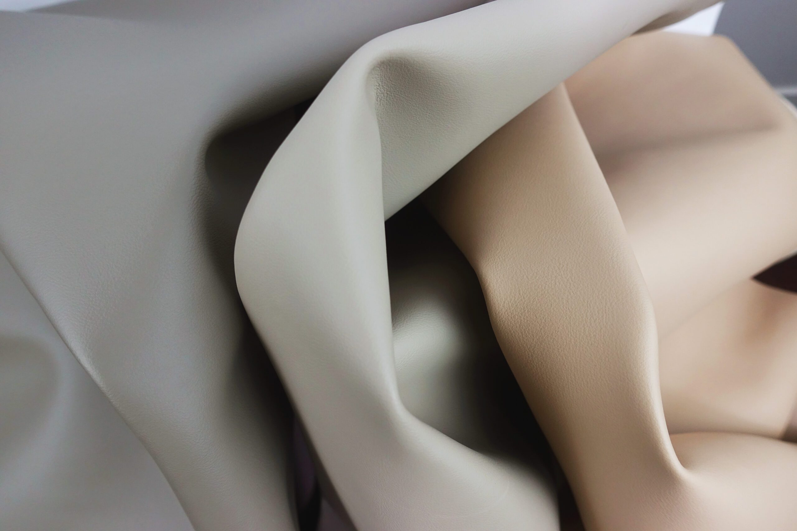 เจาะลึกประเภทของหนังวีแกน Vegan พร้อมการใช้งานในอุตสาหกรรมต่างๆ